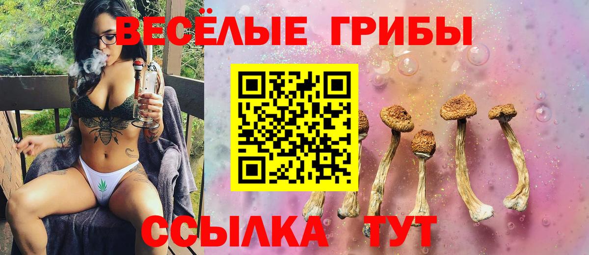 Галлюциногенные грибы ЛСД  Вход с VPN  Галлюциногенные грибы Psilocybe  Фрязино 