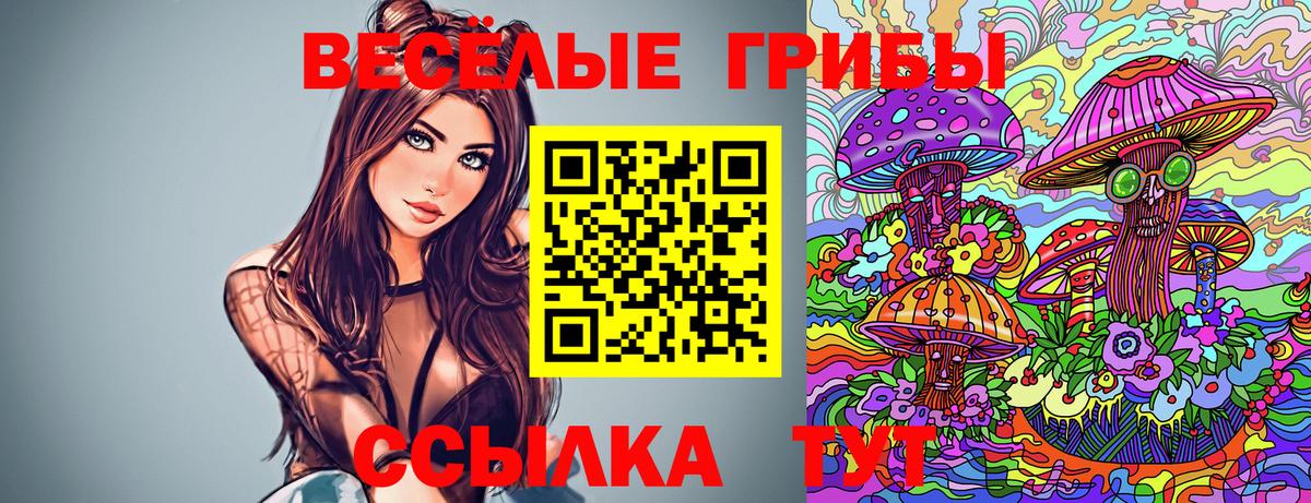 Галлюциногенные грибы MAGIC MUSHROOMS Фрязино