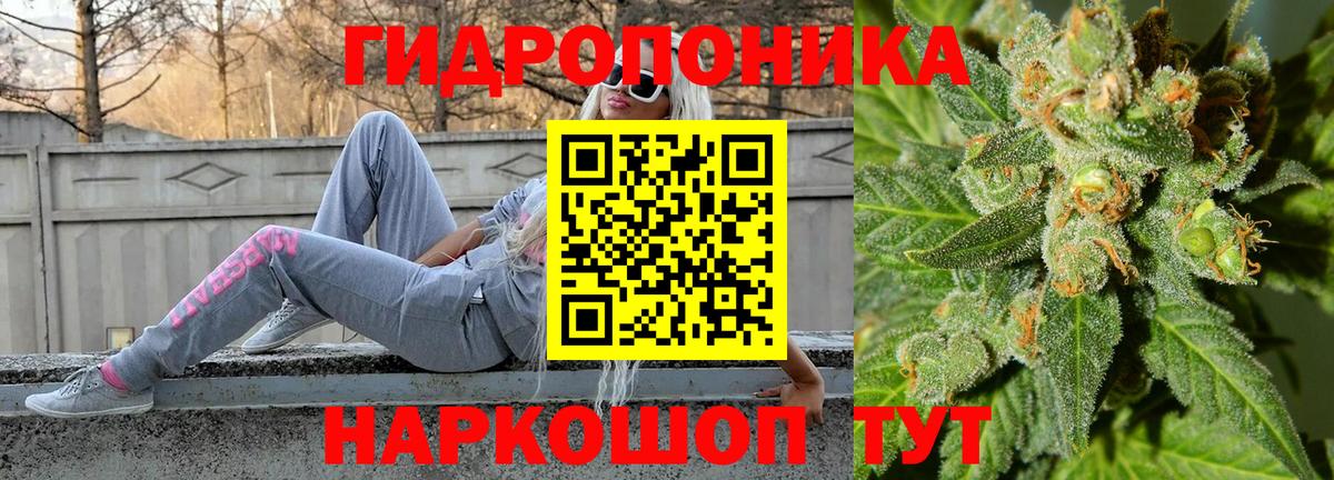 Канабис тримм  Шишки марихуана индика  Фрязино  Вход с VPN  Каннабис OG Kush 